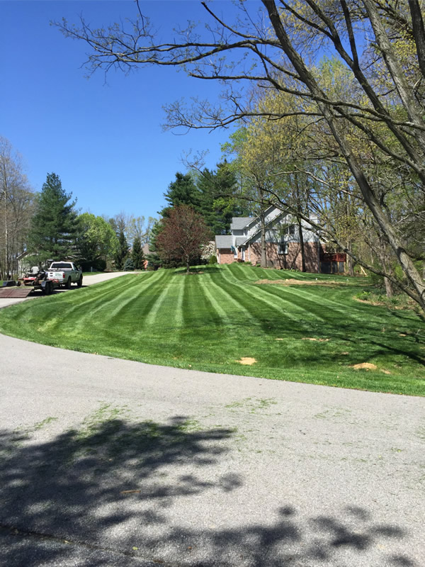 Maxwell Lawn Care & Landscape