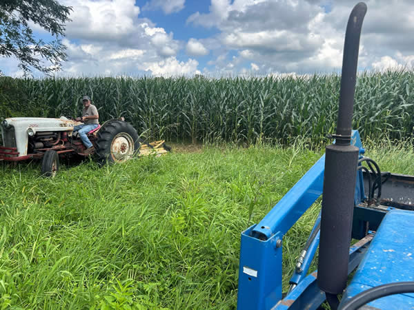 Brush Hogging & Field Mowing