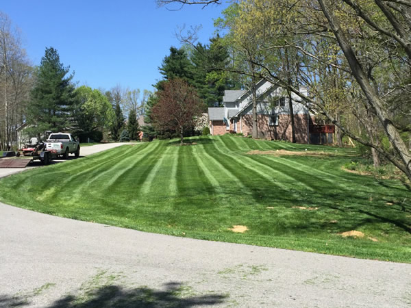 Lawn Services