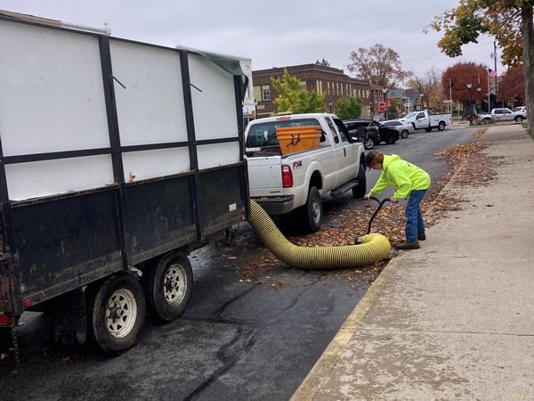 Leaf Removal Services Martinsville, IN