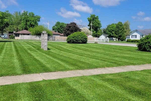 Local Lawn Care Experts
