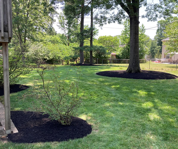 Mulch Refresh & Maintenance