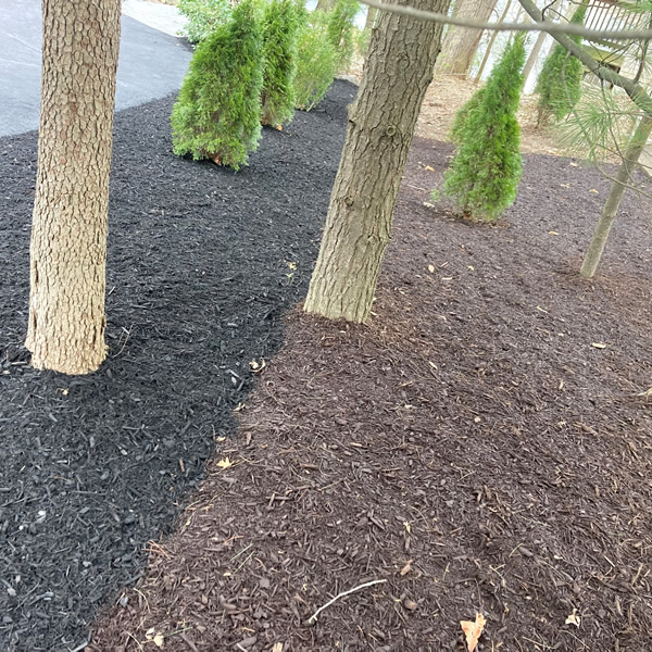Landscape & Mulch Martinsville