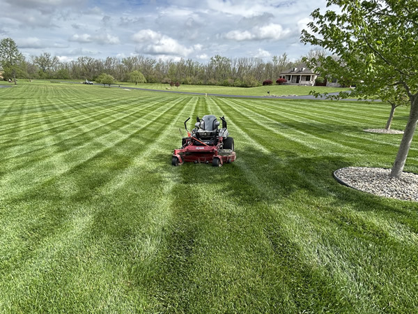 Bushhog and Field Mowing