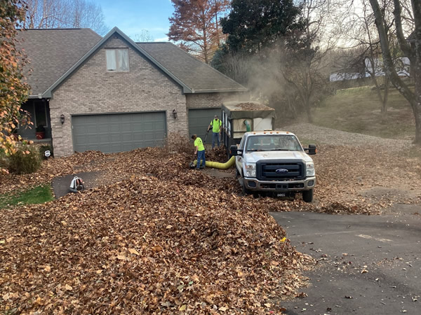 Leaf Removal Services Martinsville, IN